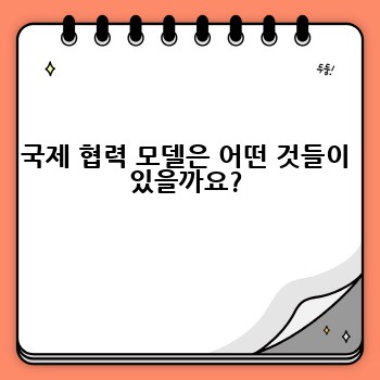 국제 협력 모델은 어떤 것들이 있을까요?