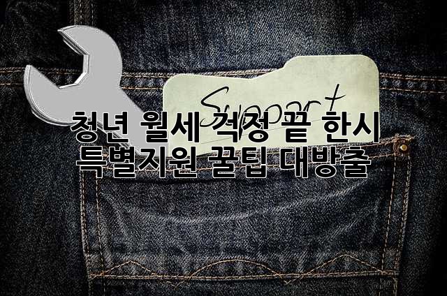 청년, 월세 걱정 끝! 한시 특별지원 꿀팁 대방출!
