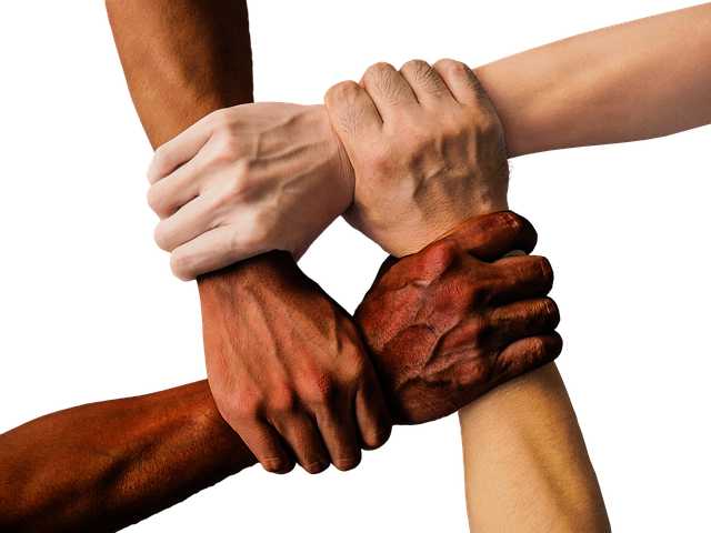 생태계전략 및 협력: 지역 및 국제 생태계 보전 성공 전략