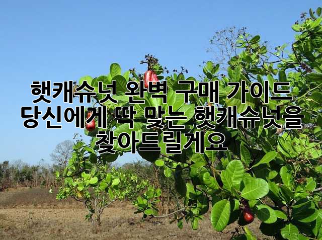햇캐슈넛 완벽 구매 가이드: 당신에게 딱 맞는 햇캐슈넛을 찾아드릴게요!