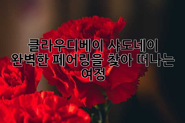 클라우디베이 샤도네이: 완벽한 페어링을 찾아 떠나는 여정
