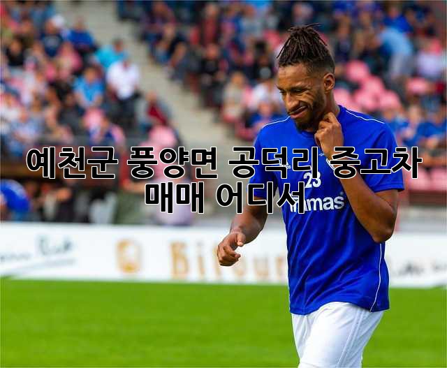 예천군 풍양면 공덕리 중고차 매매, 어디서?