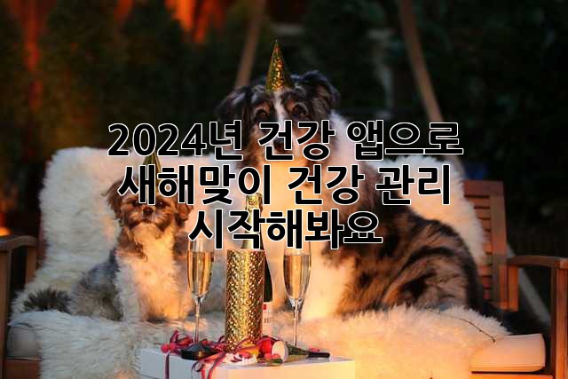 2024년, 건강 앱으로 새해맞이 건강 관리 시작해봐요!