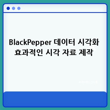 BlackPepper 데이터 시각화 효과적인 시각 자료 제작