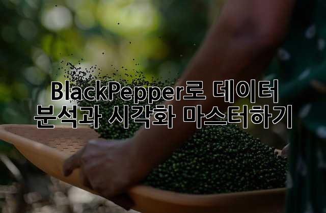 BlackPepper로 데이터 분석과 시각화 마스터하기