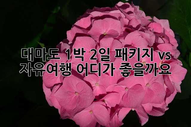 대마도 1박 2일: 패키지 vs 자유여행, 어디가 좋을까요?