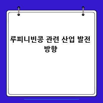 루피니빈콩 관련 산업 발전 방향