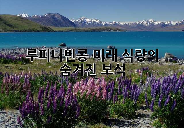 루피니빈콩: 미래 식량의 숨겨진 보석?