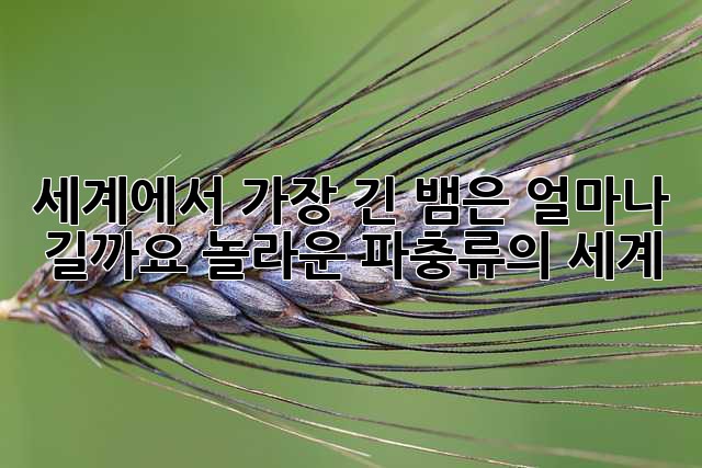 세계에서 가장 긴 뱀은 얼마나 길까요? 놀라운 파충류의 세계!