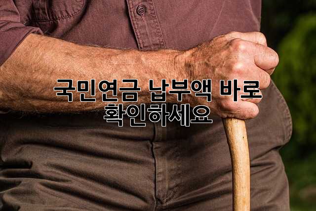 국민연금 납부액 바로 확인하세요!