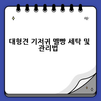 대형견 기저귀 멜빵 세탁 및 관리법 