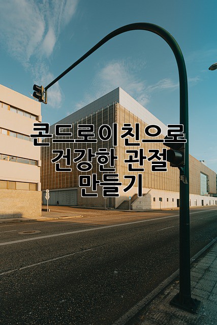 콘드로이친으로 건강한 관절 만들기