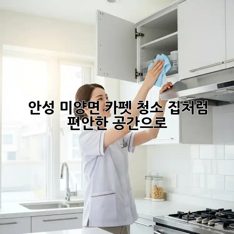 안성 미양면 카펫 청소: 집처럼 편안한 공간으로!